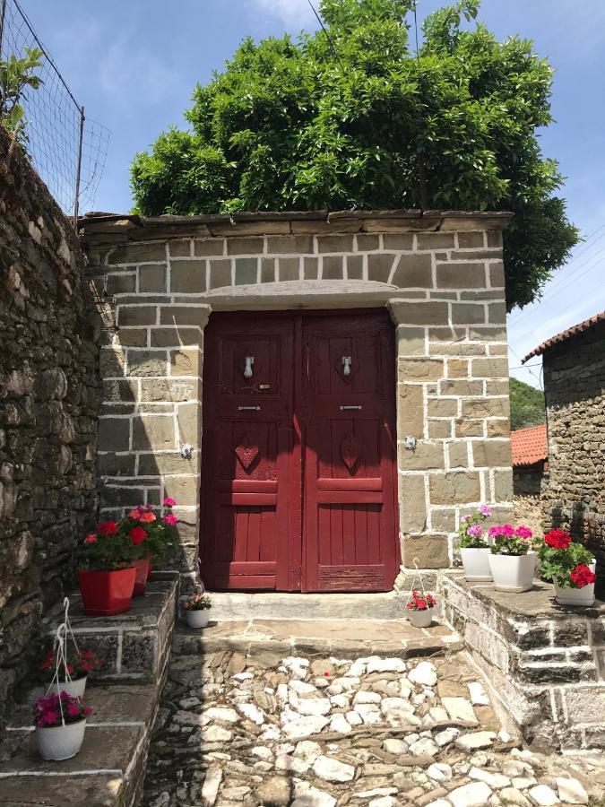 מלון Përmet The Mosaic House - Shtepia Me Mozaik מראה חיצוני תמונה